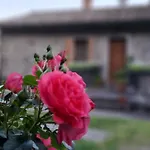 Animrus Guest house Radicofani