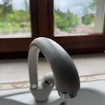 Animrus Radicofani