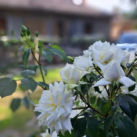 Guest house Animrus Radicofani