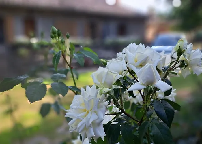Penzion Animrus Radicofani